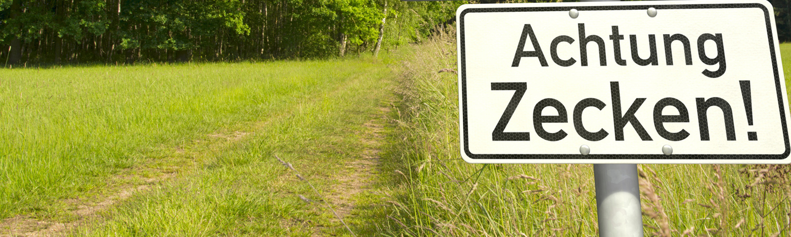 Schild auf einer Wiese mit "Achtung Zecken"